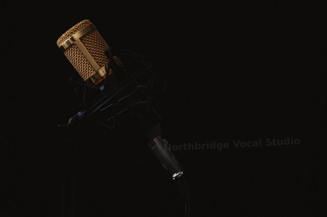 Northbridge Vocal Studio 12